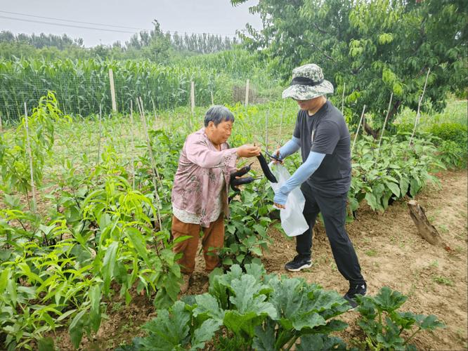 此次抽检工作,结合本地当季生产和消费的种植业农产品品种,监测包括