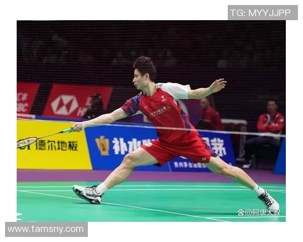 羽毛球实力排行榜更新北京羽毛球队荣登第八名展现强劲实力