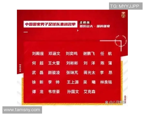 上海足球队在世界杯预选赛中的个人能力表现分析与点评