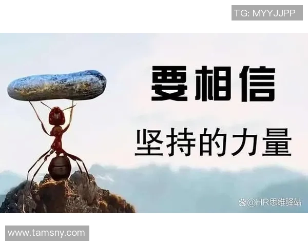 专访羽毛球明星吴强揭秘他成功背后的努力与坚持