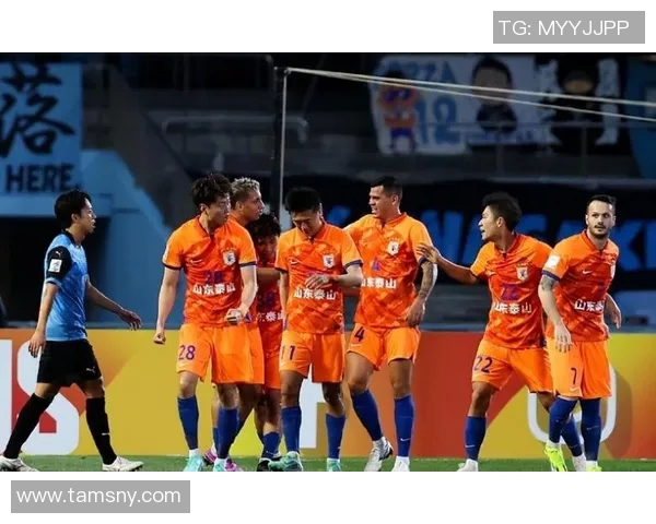 中国鲁能足球明星盘点及其在国内外赛场上的辉煌成就