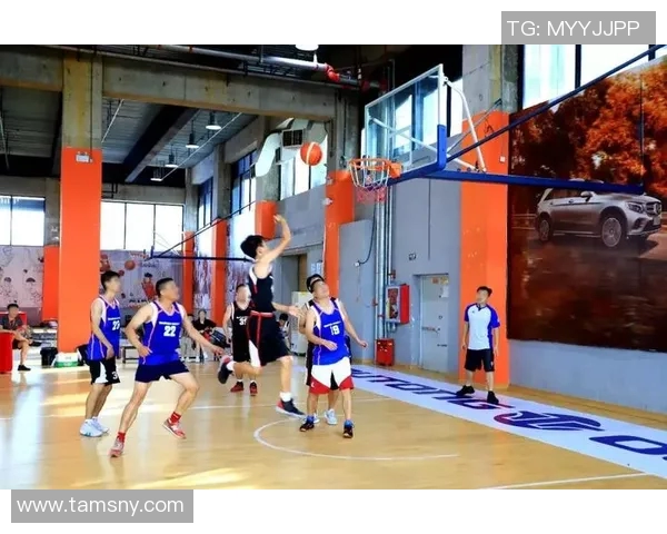 从零起步掌握篮球技巧与个人能力提升全方位指南