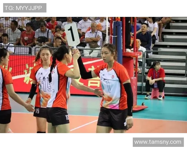 北京排球队在锦标赛中的默契配合与战术执行分析