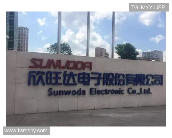 深圳足球队在耐力排行榜中荣登第五名引发热议 深圳足球队在耐力排行榜中荣登第五名引发热议