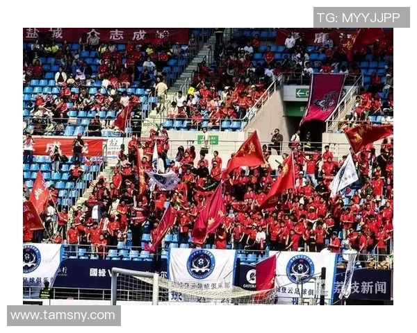 撇咧足球的魅力与激情探讨如何在赛场上实现自我价值与团队合作