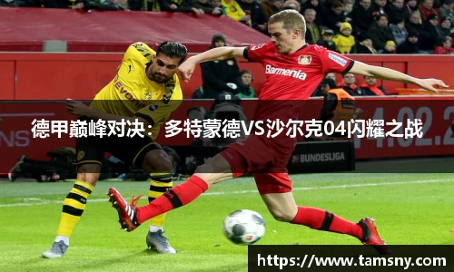 德甲巅峰对决：多特蒙德VS沙尔克04闪耀之战