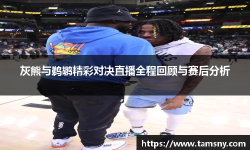 灰熊与鹈鹕精彩对决直播全程回顾与赛后分析