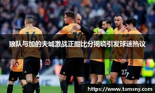 狼队与加的夫城激战正酣比分揭晓引发球迷热议